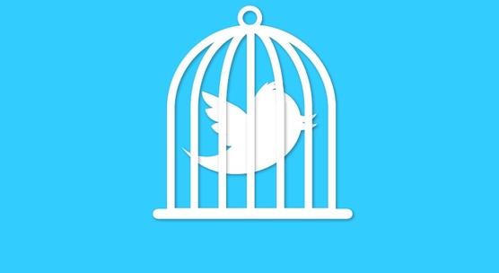 twitter-cage